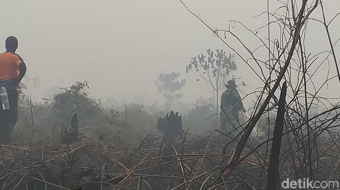 Kebakaran lahan dan hutan (karhutla) di Inhu Riau