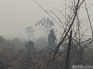 Video: Warga Rengat Bertahan Melawan Asap Karhutla Riau