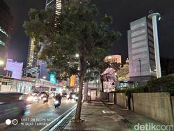 Menjajal Kemampuan Kamera Xiaomi Redmi Note 7