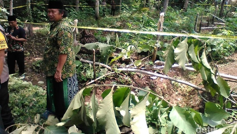 Tak Hanya Rusak Masjid dan Buang Kitab ke Sumur, OTK Juga Tebangi Pohon