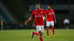 Diminati Banyak Klub, Joao Felix Nikmati Masa-masa di Benfica Diminati Banyak Klub, Joao Felix Nikmati Masa-masa di Benfica