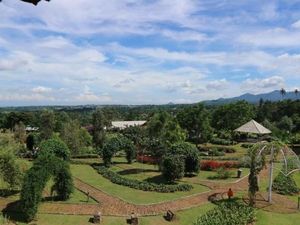 Celebrity on Vacation: Main ke Jembatan Elvis di Camp Hulu Cai
