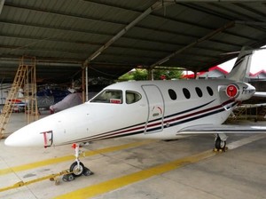 Pengakuan Pramugari Jet Pribadi: Angkut Mayat hingga Burung Beo