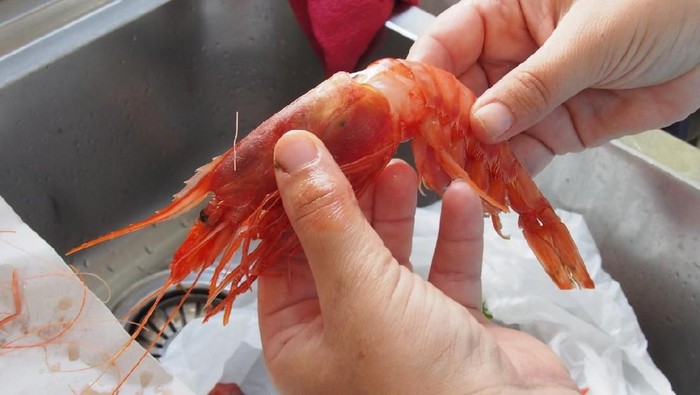 Gara-gara mengupas kulit udang, nyawa melayang (Foto: iStock) Gara-gara mengupas kulit udang, nyawa melayang (Foto: iStock)