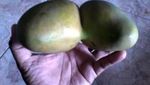 8 Buah Ini Berbentuk Aneh Karena Tumbuh Berdempetan