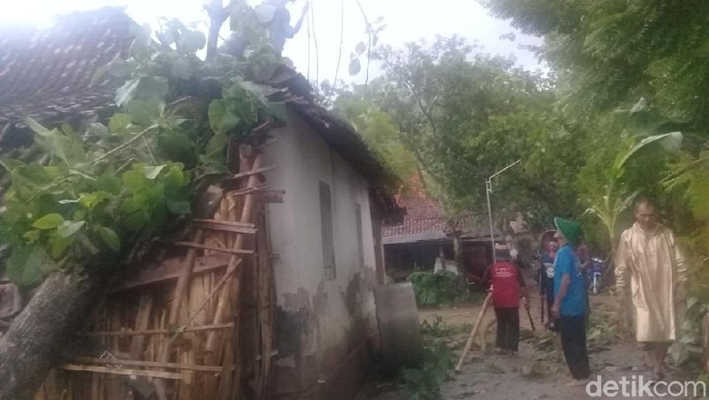 Puting Beliung Landa Ponorogo, 4 Rumah Rusak Tertimpa Pohon Puting Beliung Landa Ponorogo, 4 Rumah Rusak Tertimpa Pohon
