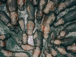 Foto Karya Jawara Kontes Drone Kece Banget