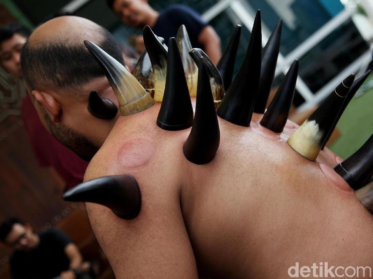 Penampakan Punggung-punggung Bertanduk Saat Dibekam