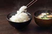 Ternyata 5 Makanan yang Sering Dikonsumsi Ini Bisa Mengandung Racun
