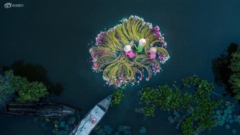 Posisi 1 kategori Fun diraih Khánh Phan. Karya bertajuk Flowers on The Water ini diambil menggunakan Phantom 4 Pro V2.0. Foto: SkyPixel