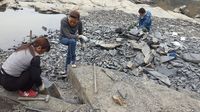 Fosil di China Rekam Ledakan Makhluk Hidup 500 Juta Tahun Lalu