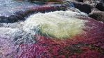 Potret Sungai Paling Jelita Dunia