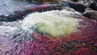 Sejatinya, warna ini bukanlah dari aliran air, namun karena lumut yang tumbuh di dasar sungai. (iStock)