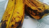 Melihat pisang berdempetan memang tak asing. Beberapa buah pisang tumbuh dengan posisi yang berdekatan sehingga berdempetan dan tak bisa dipisahkan hingga matang. Foto: istimewa