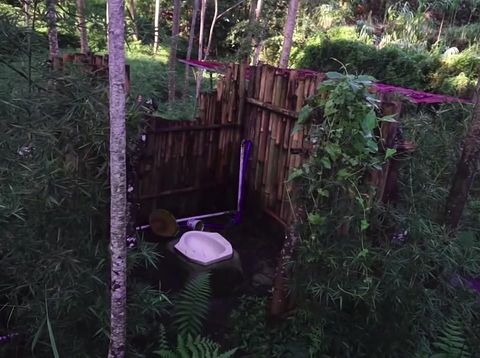 Rumah Hutan Dodit Mulyanto Ada Toilet Alam dan Dijaga Anjing Doberman