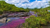 Apa yang terbayang oleh mu jika disebutkan kata sungai? Berair coklat? Ada buaya atau sampah? Di pinggirannya sungai ada pemancing atau bangku-bangku taman? Semua itu tidak kamu temukan di sungai Kolombia ini. Istimewa/iStock