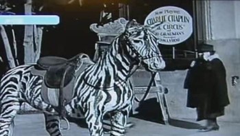 Pada 2010, internet diramaikan video viral yang diposting George Clarke asal Irlandia Utara. Sebuah gambar yang merupakan screenshot salah satu adegan film Charlie Chaplin The Circus pada 1928 memperlihatkan wanita berjalan sambil tangan kiri memegang sesuatu ditempelkan di telinga. Mulutnya tampak berbicara.  Beragam teori bermunculan menanggapinya. Ada yang menyebut ia memegang balok es untuk mengompres gigi yang sakit, ada juga yang terang-terangan menyebut cuplikan adegan tersebut palsu. Foto: Internet