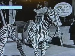 Benarkah Ini Penampakan Para Penjelajah Waktu?