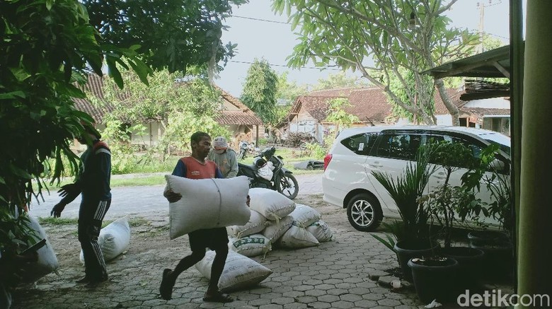 Panen Raya Telah Tiba, Waspada Pencuri Gabah di Magetan Panen Raya Telah Tiba, Waspada Pencuri Gabah di Magetan