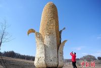 Keren! Patung Jagung Raksasa Ini Terbuat dari Ribuan Jagung Asli