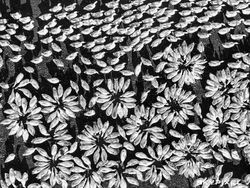 Foto Karya Jawara Kontes Drone Kece Banget