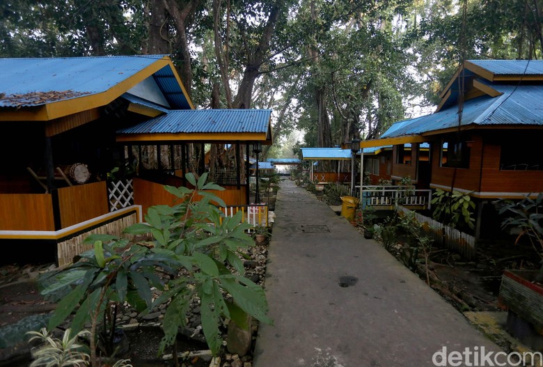 Saruma Payungi Perbedaan di Bacan Saruma Payungi Perbedaan di Bacan