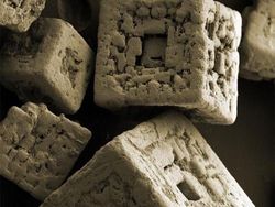 Foto Hewan dan Benda Unik yang Bikin Wawasan Bertambah