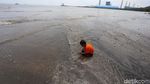 Kepincut Pesona Pantai Bohai