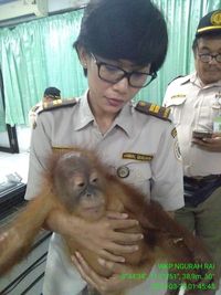 Selain orang utan, aparat menemukan enam reptil yang tidak dilindungi.