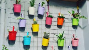 7 Tips Mempercantik Rumah dengan Kebun Vertikal yang Simpel