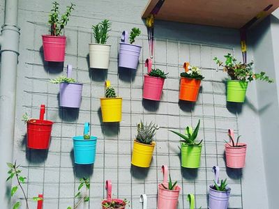 7 Tips Mempercantik Rumah dengan Kebun Vertikal yang Simpel