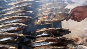 Melihat Pembuatan Ikan Asap di Halmahera Selatan