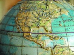 Foto Hewan dan Benda Unik yang Bikin Wawasan Bertambah