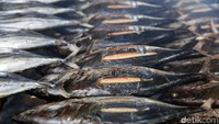 Desa Tembal merupakan pusat produksi ikan asap di Halmahera Selatan. Sejumlah rumah produksi ikan fufu bertebaran di sana.