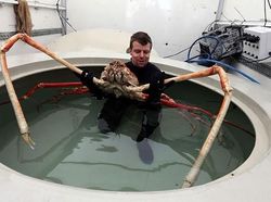 Aneka Hewan Paling Aneh di Dunia