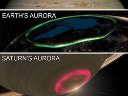 Foto Hewan dan Benda Unik yang Bikin Wawasan Bertambah