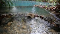 Air di pinggir telaga terlihat jernih.