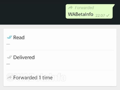 Tampilan Forwarding Info