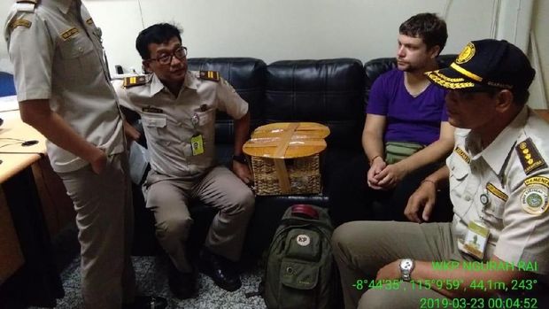Orang utan diduga akan dibawa ke Rusia.