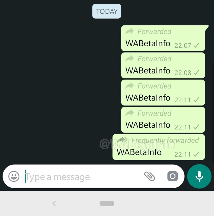 whatsapp forward info