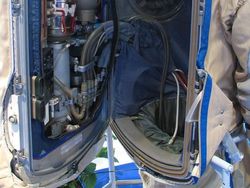 Foto Hewan dan Benda Unik yang Bikin Wawasan Bertambah