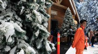 Bagi traveler yang ingin bermain ski atau sledge ride, perlu menyewa peralatan Rp 30 ribu hingga Rp 100 ribu untuk sewa alat ski dan lainnya (Randy/detikcom)