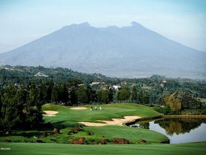 Niat Cari Bola Golf yang Hilang, eh Malah Tenggelam di dalam Kolam
