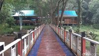 Ada Gelar Adat dan Rumah untuk Jokowi di Hutan Karet Belanda