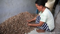 Tanaman pala menghasilkan dua produk bernilai ekonomi tinggi yaitu biji pala dan fuli (kembang pala yang menyelimuti biji). Bagian tanaman pala yang mempunyai nilai ekonomis adalah bagian buah.