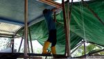 Yuk, Lihat Pembuatan Kapal Nelayan di Timur Indonesia