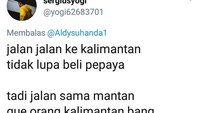 Nah disebut-sebut terus nih Kalimantannya, sampai orangnya ikutan muncul. Btw, emangnya di Kalimantan banyak pepaya ya? Kok semuanya kompak membeli pepaya. Foto: Twitter