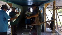 Untuk mengembangkan usahanya ini pun Aman merasa terbantu dengan adanya bantuan usaha dari BRI. Dia mengaku lebih mudah jika meminjam dari BRI. Bahkan dengan adanya Teras BRI Kapal Bahtera Seva III Aman tidak perlu pergi ke Pulau Bacan untuk meminjam uang.