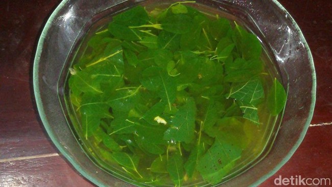 Daun Kelor, Peluntur Susuk Kaya Nutrisi yang Enak Disayur Bening