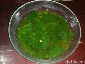 Saat Daun Kelor Diolah Jadi Sayur Bening yang Menggugah Selera